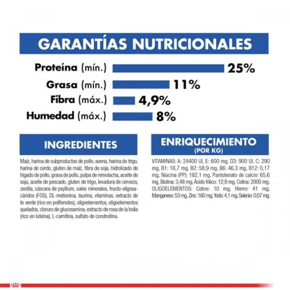 Royal Canin Alimento Seco Gato Adulto Indoor +7