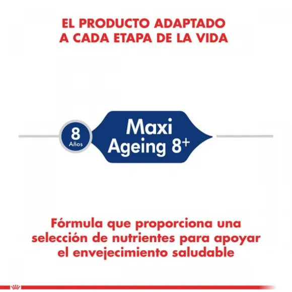 Royal Canin Alimento Seco Perro Adulto Maxi Ageing 8+