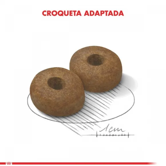 Royal Canin Alimento Seco Perro Adulto Maxi Ageing 8+