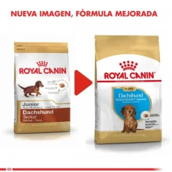 Royal Canin Cachorro Dachshund Junior Alimento Para Perro