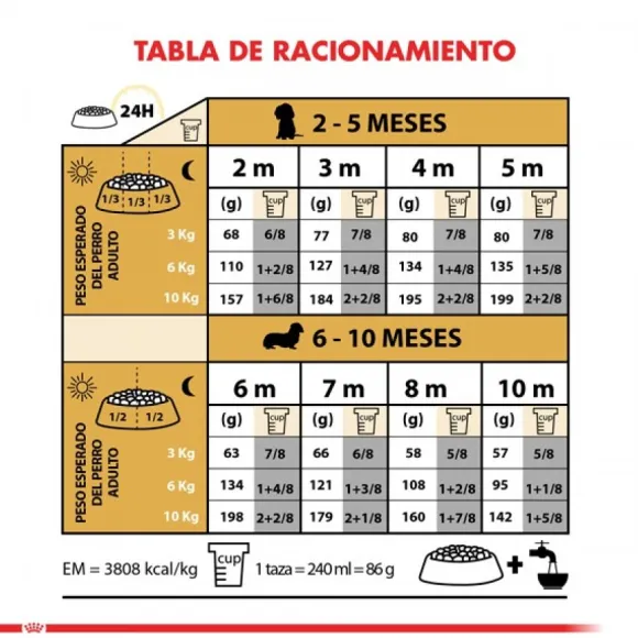 Royal Canin Cachorro Dachshund Junior Alimento Para Perro