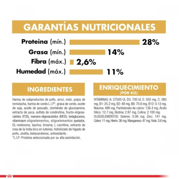 Royal Canin Cachorro Dachshund Junior Alimento Para Perro