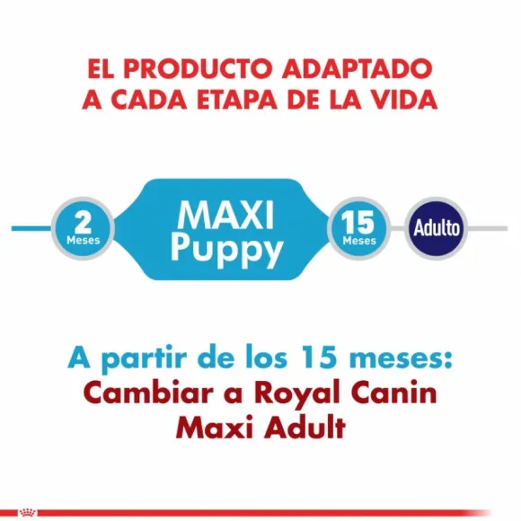 Royal Canin Cachorro Maxi Puppy Alimento Para Perro