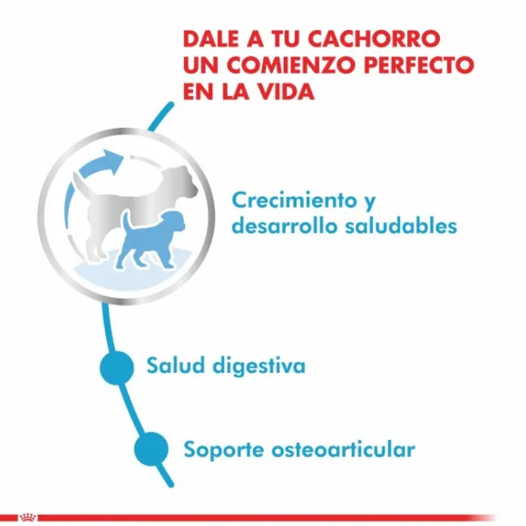 Royal Canin Cachorro Maxi Puppy Alimento Para Perro