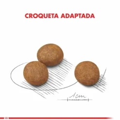 Royal Canin Cachorro Maxi Puppy Alimento Para Perro