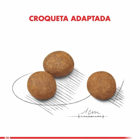 Royal Canin Cachorro Maxi Puppy Alimento Para Perro