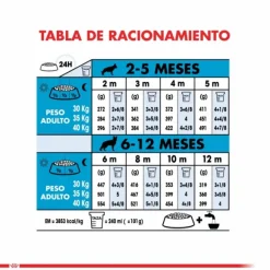 Royal Canin Cachorro Maxi Puppy Alimento Para Perro