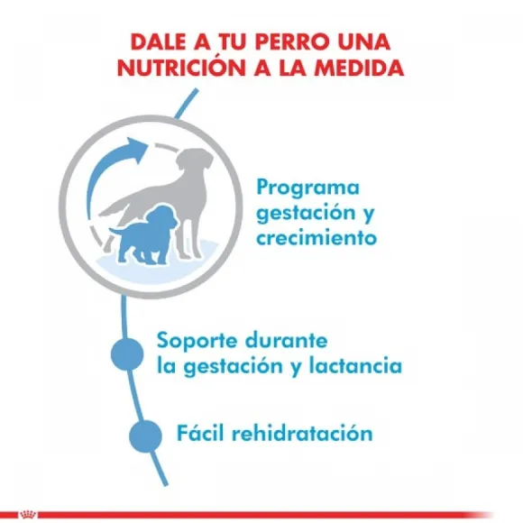Royal Canin Cachorro Medium Starter Alimento Para Perro