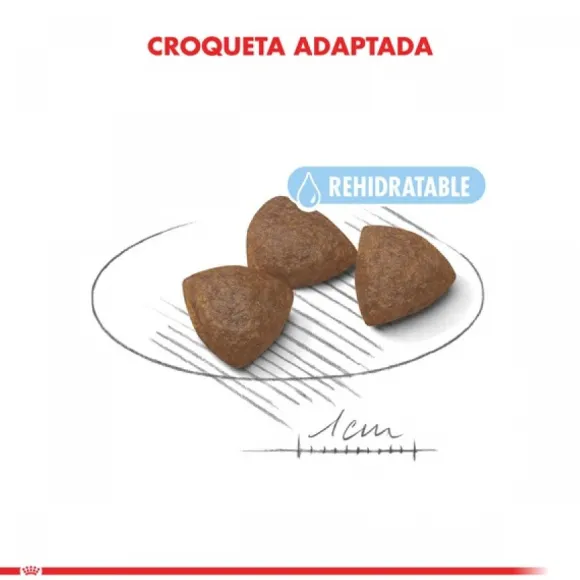 Royal Canin Cachorro Medium Starter Alimento Para Perro