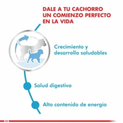 Royal Canin Cachorro Mini Puppy Alimento Para Perro
