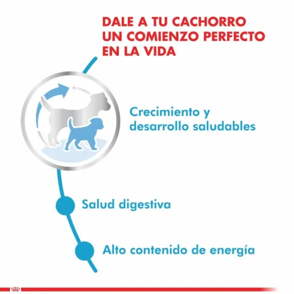 Royal Canin Cachorro Mini Puppy Alimento Para Perro
