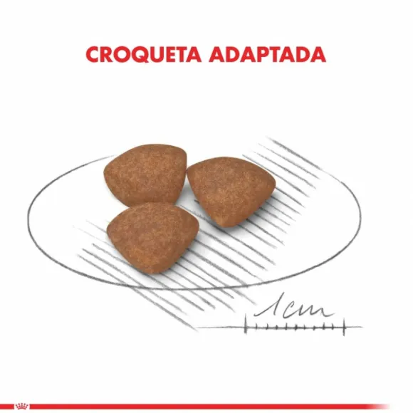 Royal Canin Cachorro Mini Puppy Alimento Para Perro