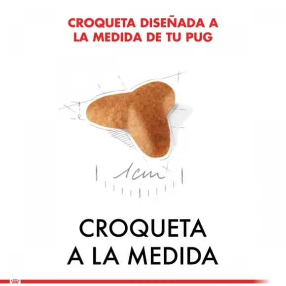 Royal Canin Cachorro Pug Junior Alimento Para Perro