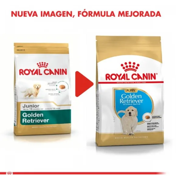 Royal Canin Cachorro Pug Junior Alimento Para Perro