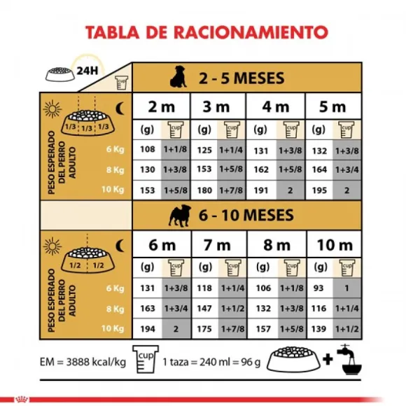 Royal Canin Cachorro Pug Junior Alimento Para Perro