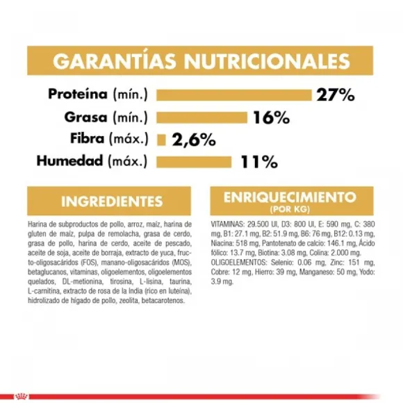 Royal Canin Cachorro Pug Junior Alimento Para Perro