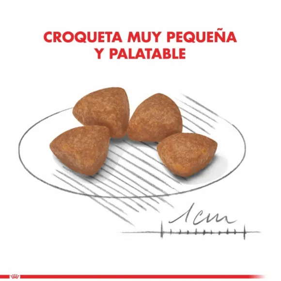 Royal Canin Cachorro X-Small Puppy Alimento Para Perro