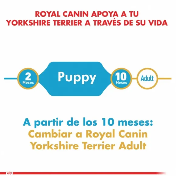 Royal Canin Cachorro Yorkshire Terrier Junior Alimento Para Perro