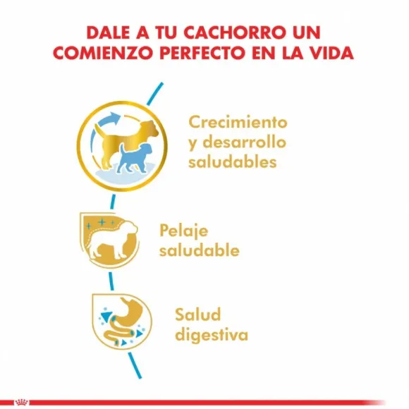 Royal Canin Cachorro Yorkshire Terrier Junior Alimento Para Perro