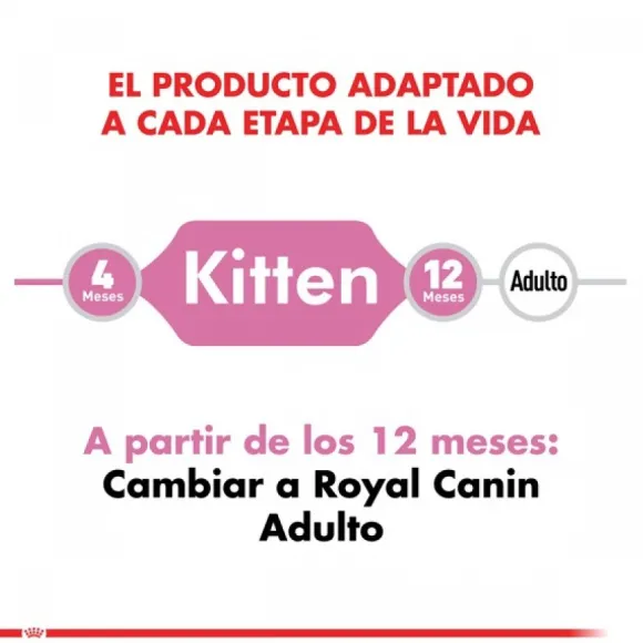 Royal Canin Gatito Felino Kitten Alimento Para Gato