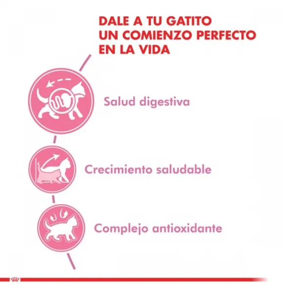 Royal Canin Gatito Felino Kitten Alimento Para Gato