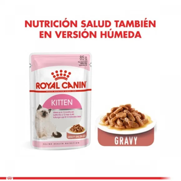 Royal Canin Gatito Felino Kitten Alimento Para Gato