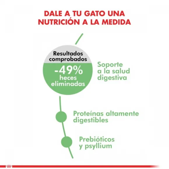 Royal Canin Royal Canin Adulto Digestive Care Alimento Para Gatos