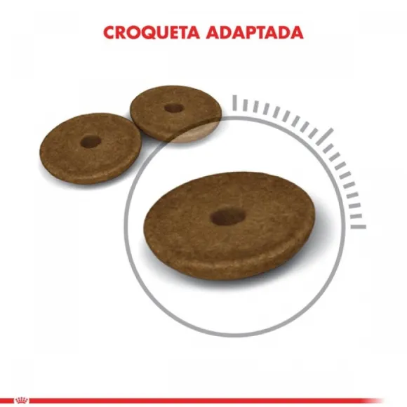 Royal Canin Royal Canin Adulto Digestive Care Alimento Para Gatos