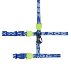 Set Arn S + Correa Astro Para Gatos