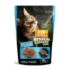 Snack Crunchy Para Gatos Relleno Con Carne De Salm N/At N 100 Gr