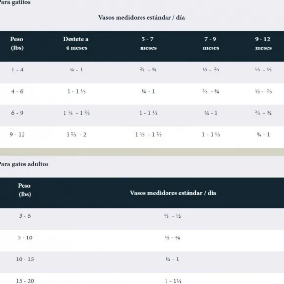 Taste Of The Wild Canyon River Gato Alimento Para Gato