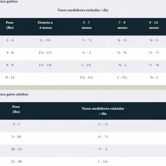 Taste Of The Wild Rocky Mountain Gato Alimento Para Gato