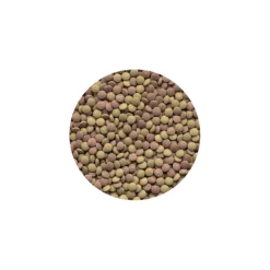 Tetra Tablets Tabimin