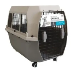 Transportador - Gris