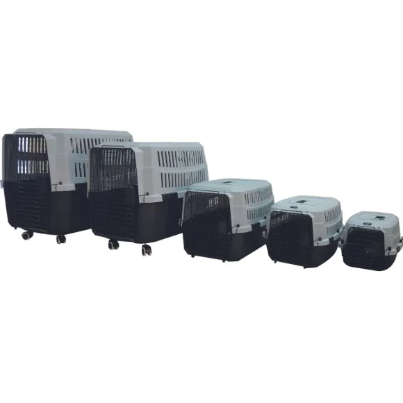 Transportador Viaggio