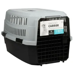 Transportador Viaggio