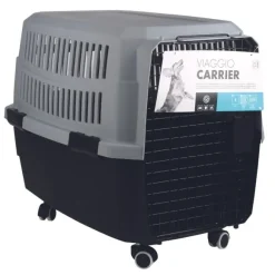 Transportador Viaggio