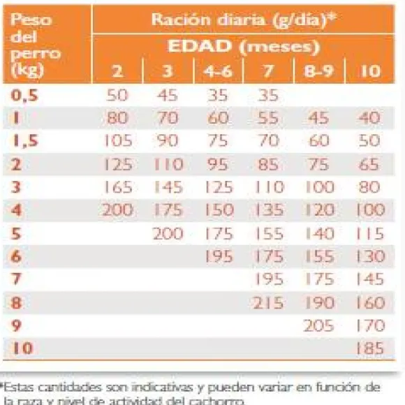 Virbac Alimento Baby Small & Toy Alimento Para Perro