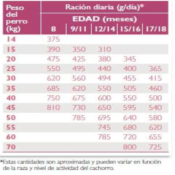 Virbac Alimento Junior Special Large