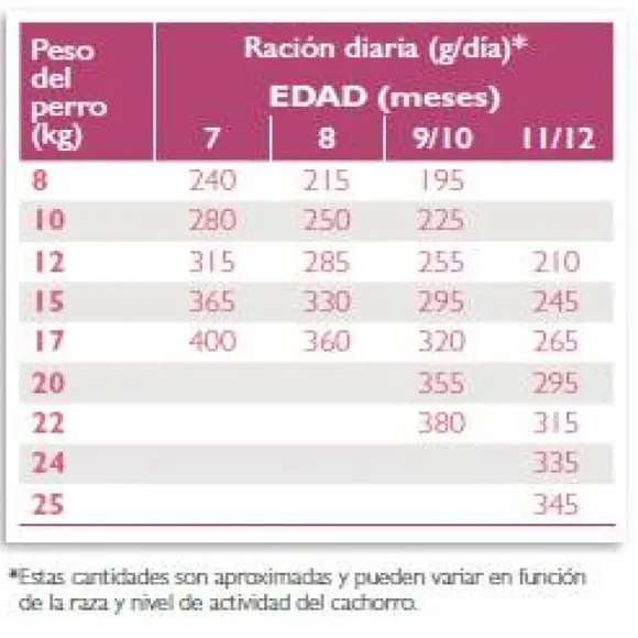 Virbac Alimento Junior Special Medium