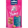 Vitakraft Snack Cat Yums Salmon 40 Gr