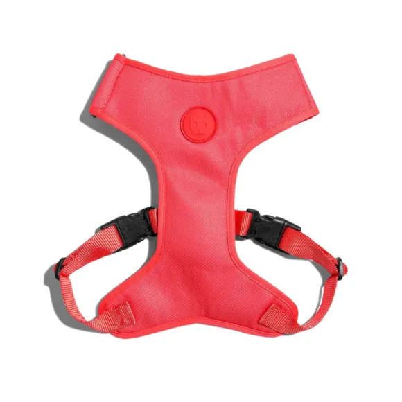 Zeedog Air Mesh Arn S Neon Coral