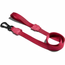 Zeedog Correa Bordeau