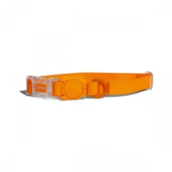 Zeedog Neopro Tangerine Collar - Perro